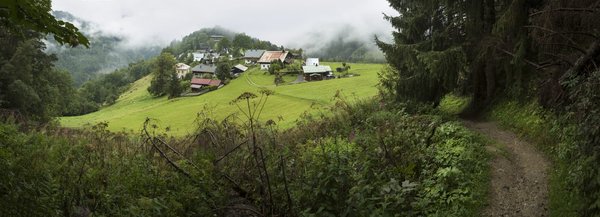 Comment mesurer le retour sur investissement des campagnes sur les réseaux sociaux ?